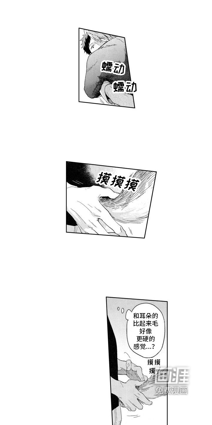 第19章：第一次【完结】
