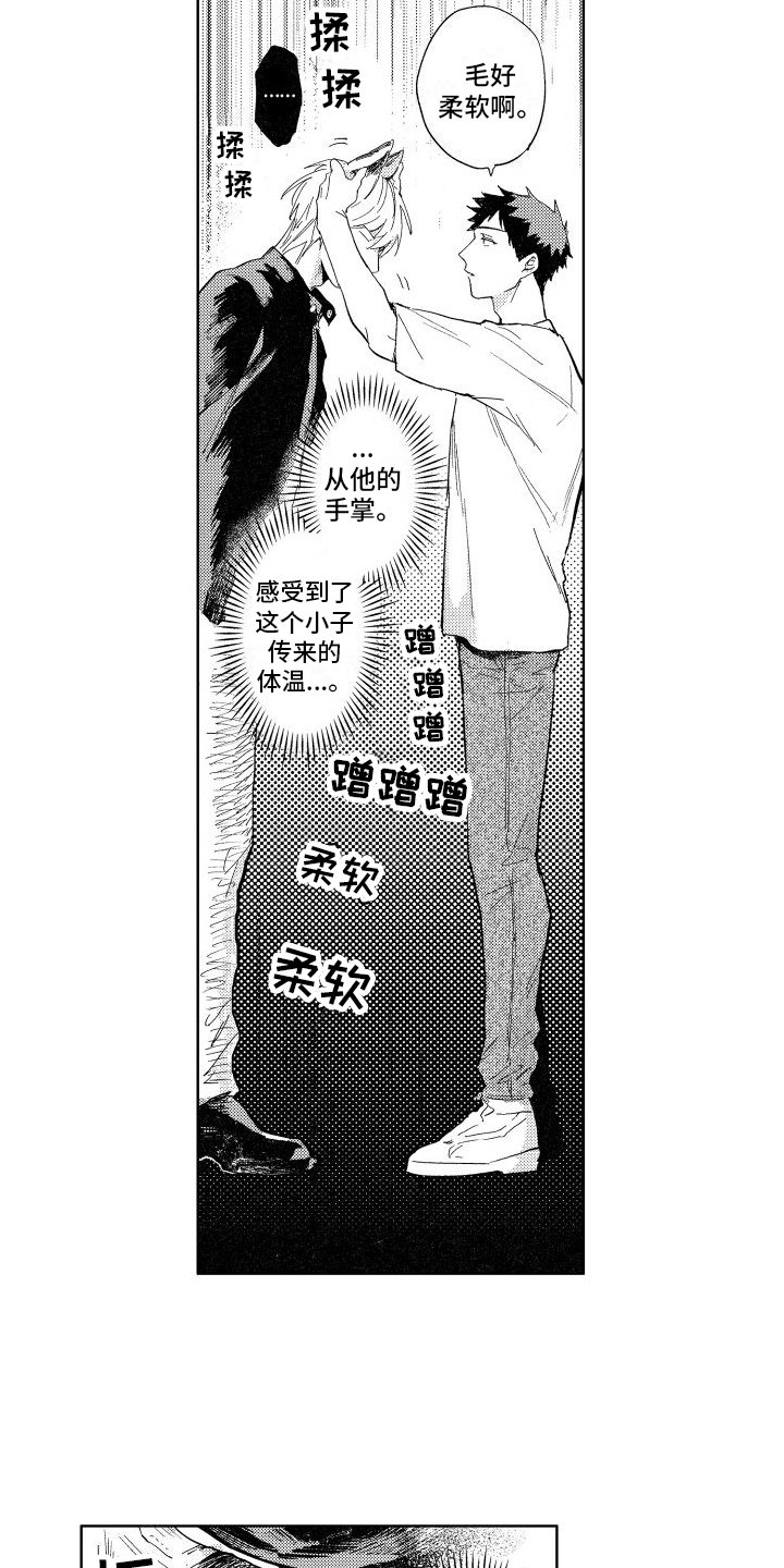 第3章：要求
