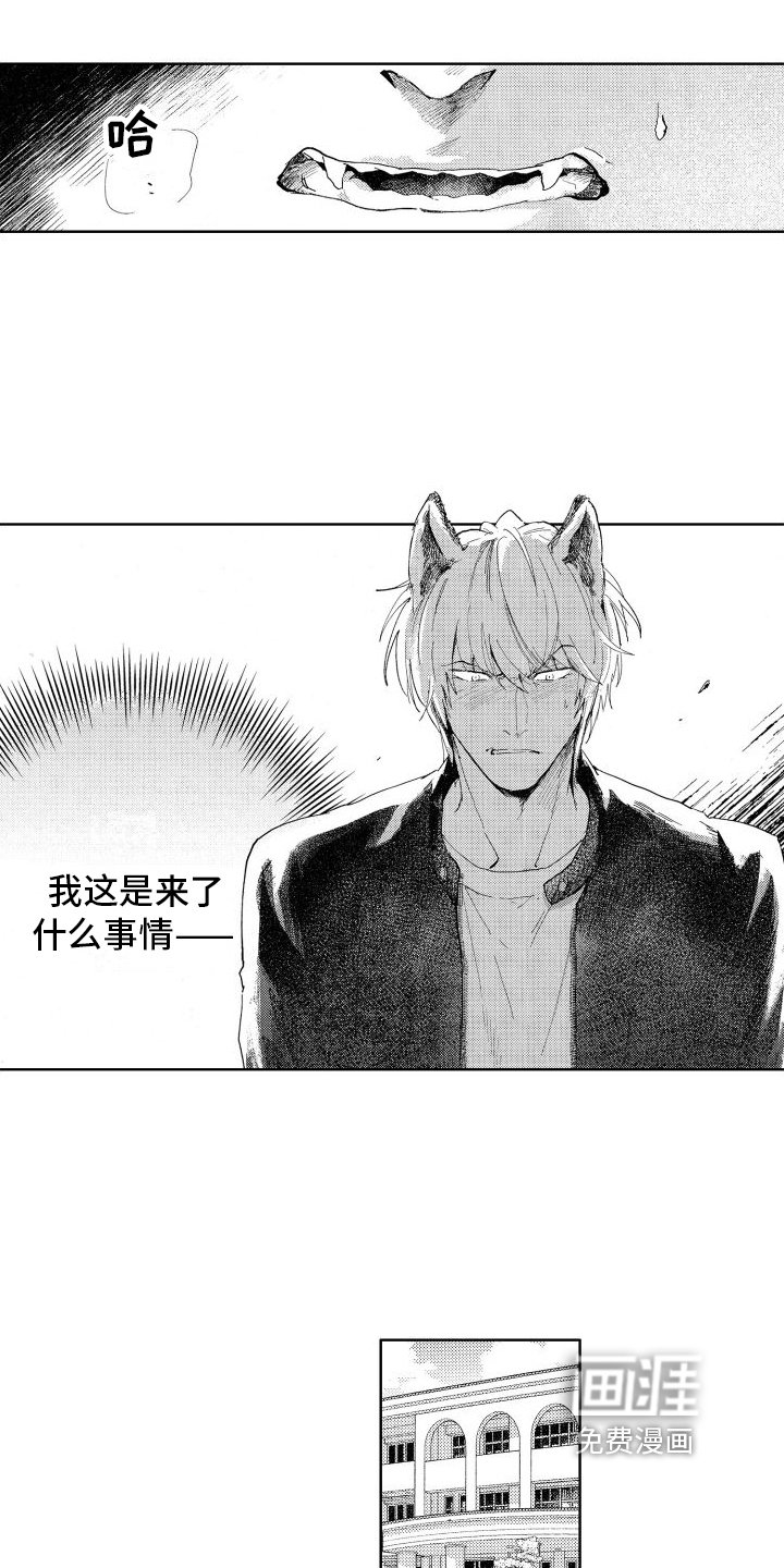 第4章：苦恼