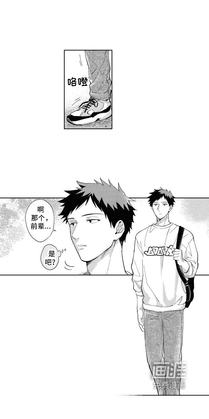第6章：确认