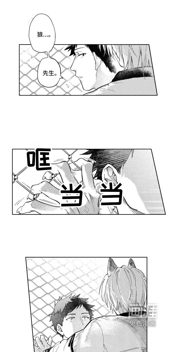 第6章：确认