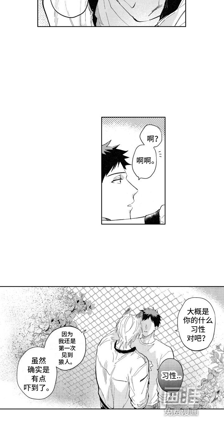 第6章：确认