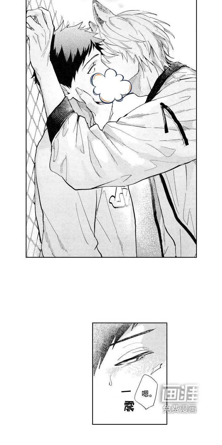 第6章：确认