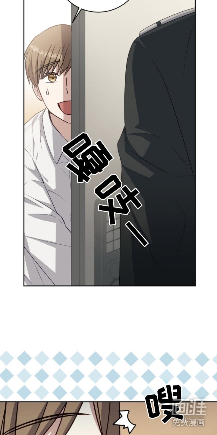 第10章：喂食