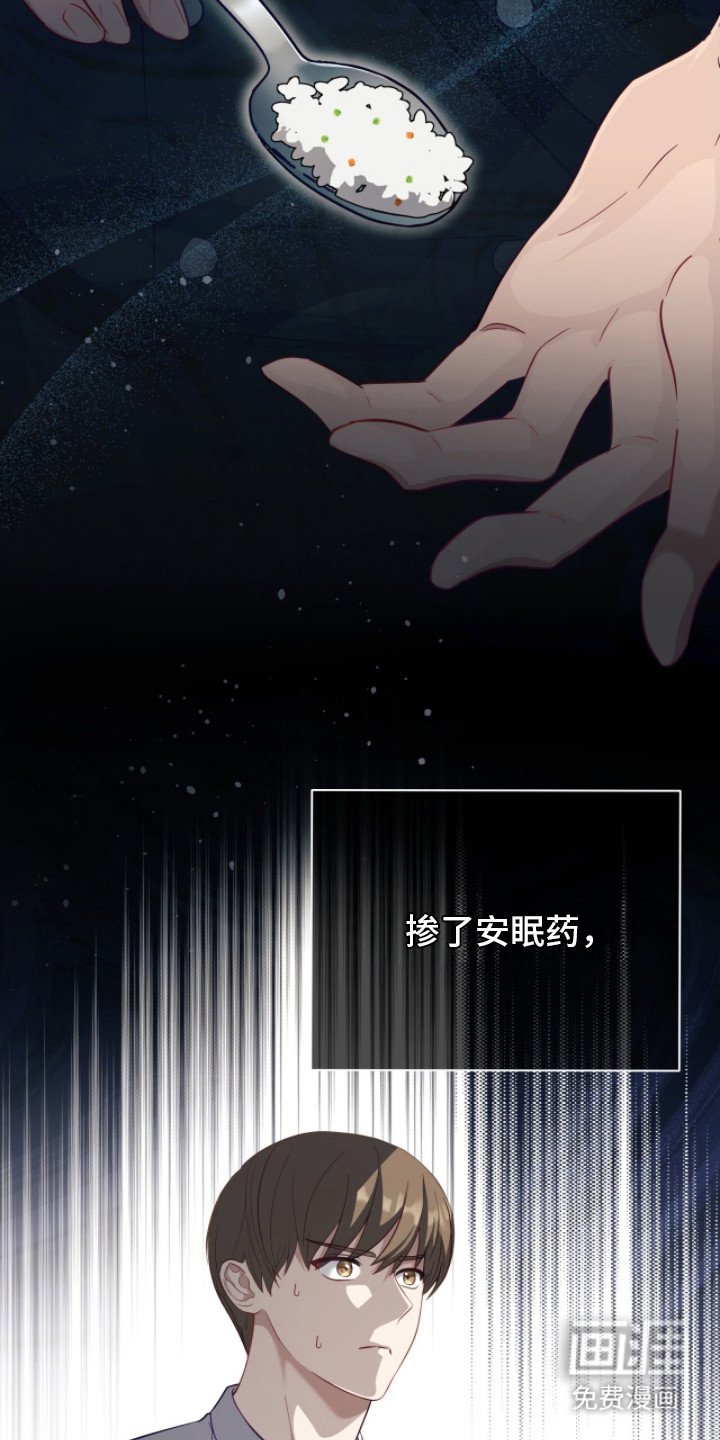 第10章：喂食