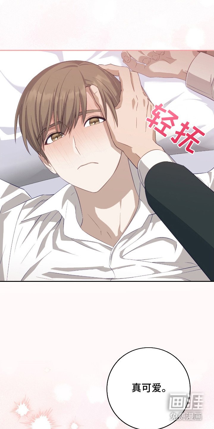 第12章：真可爱