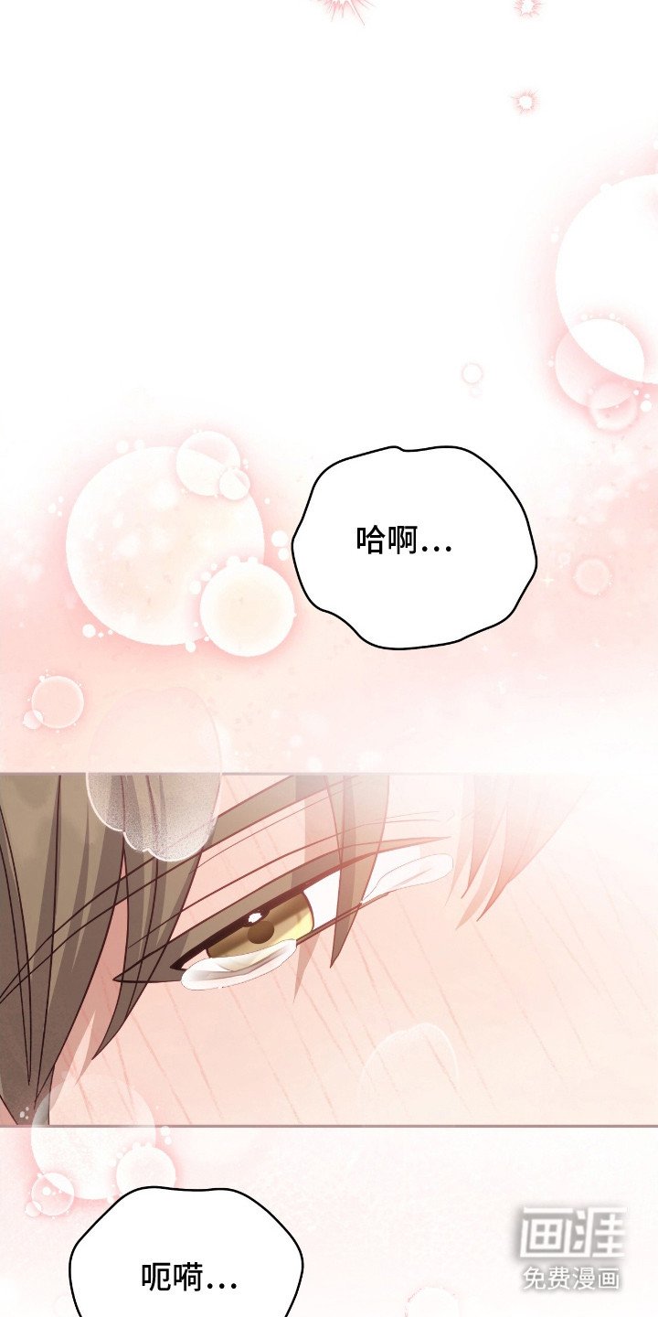第12章：真可爱