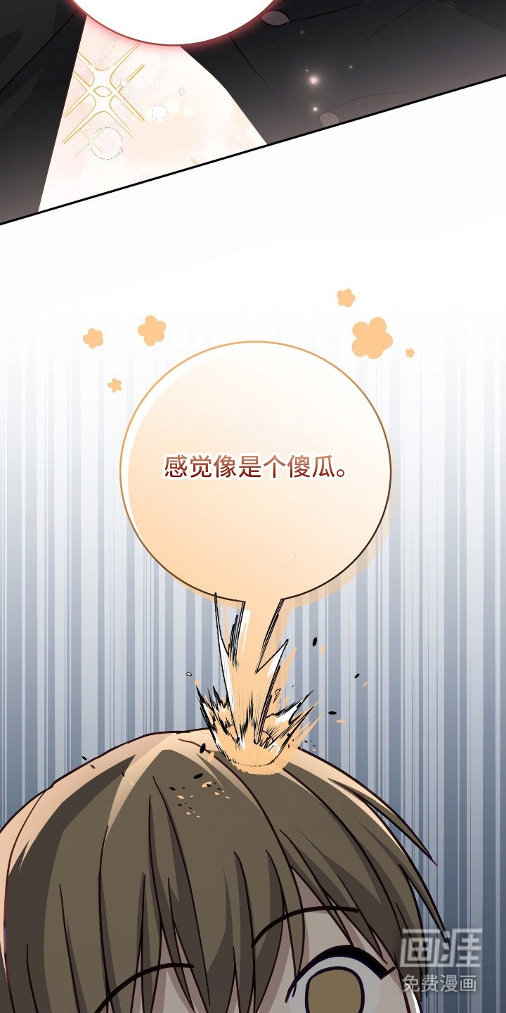 第13章：傻瓜