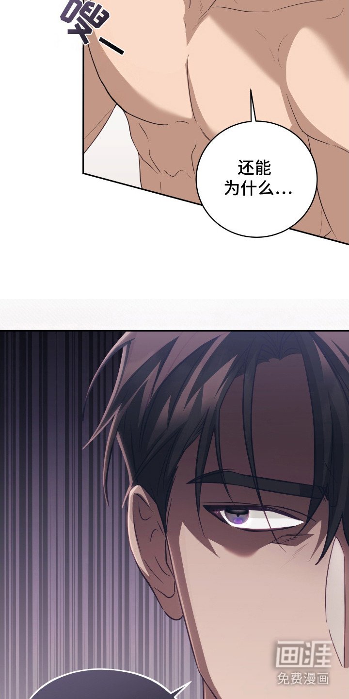 第2章：剧情走向