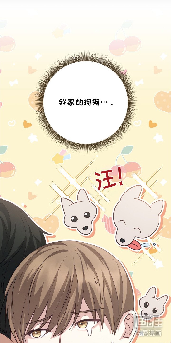 第3章：解释