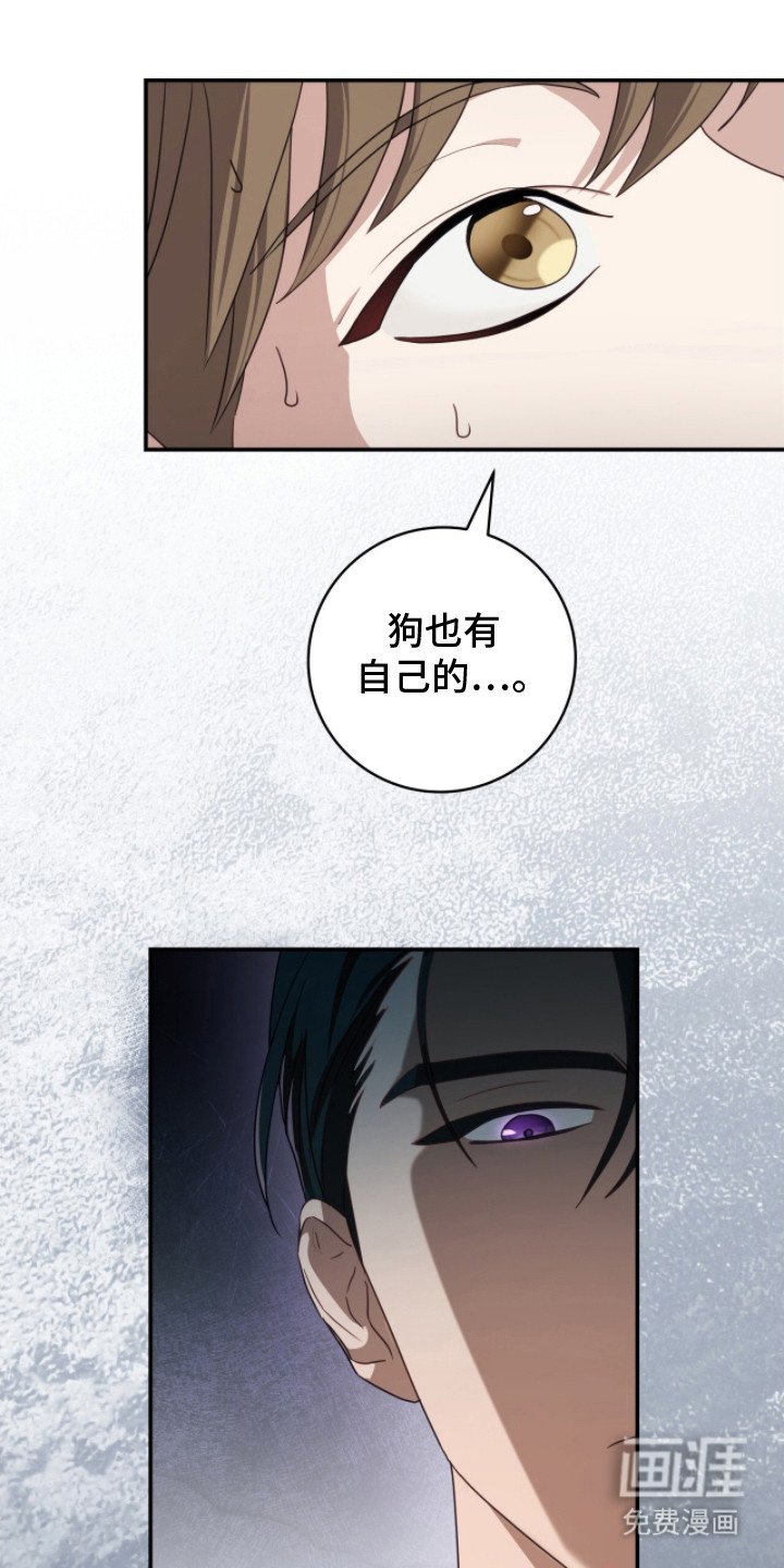 第3章：解释