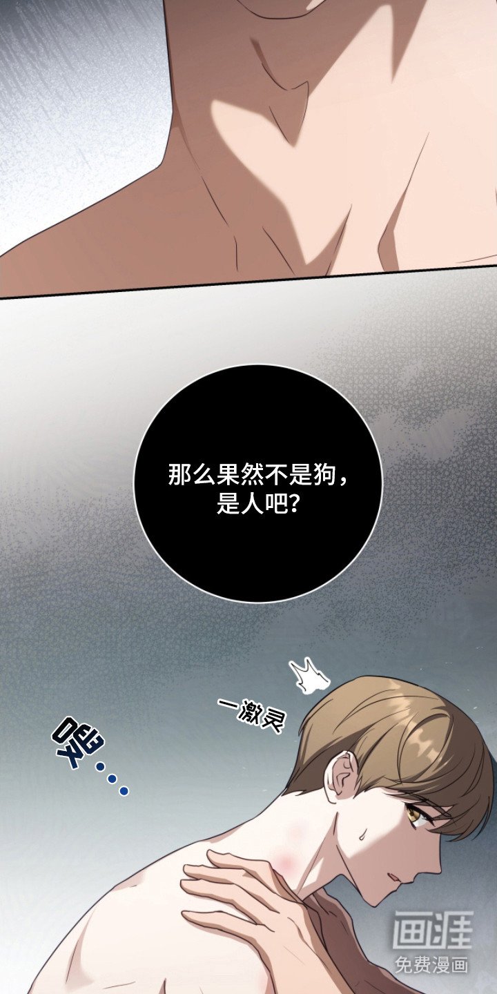 第3章：解释