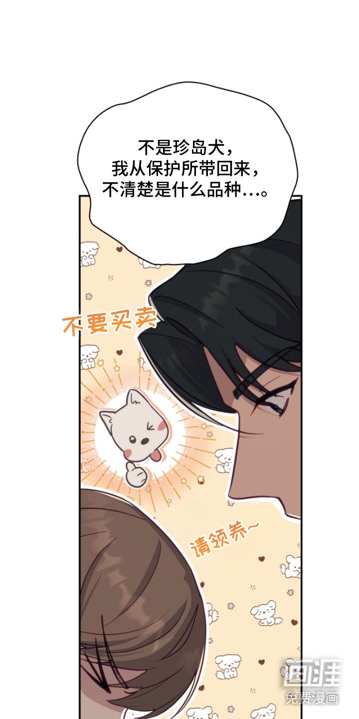 第3章：解释
