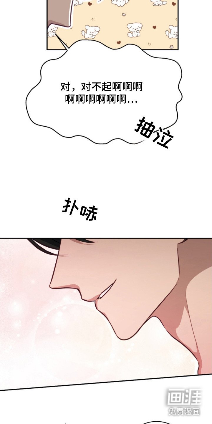 第3章：解释