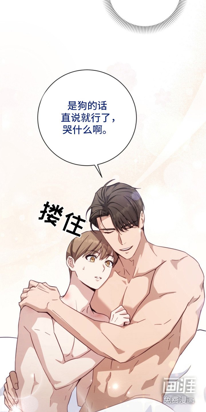 第3章：解释
