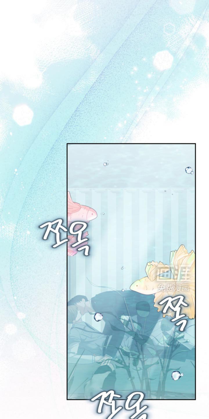 第33章：批准通过