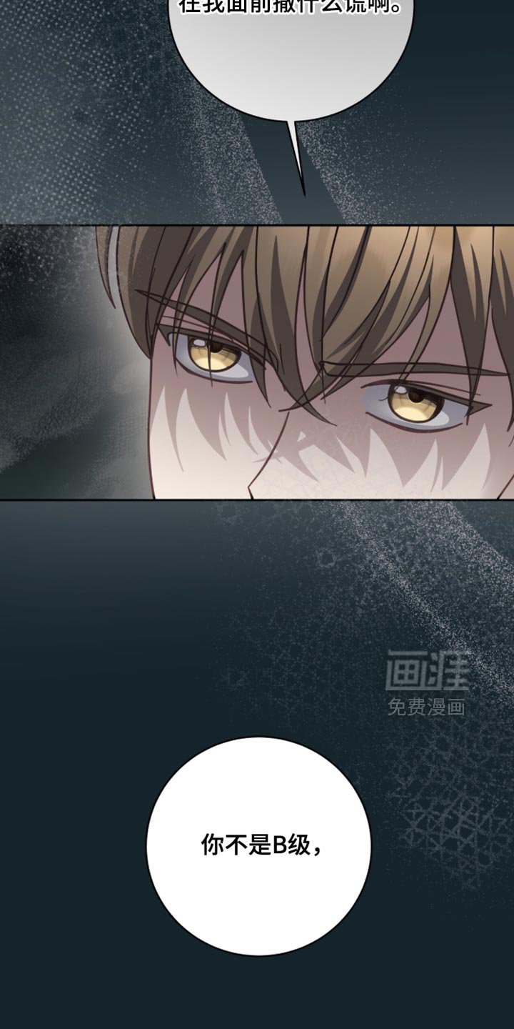 第35章：只是D级