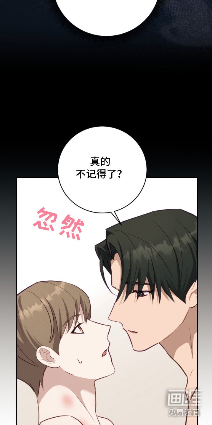 第4章：记不清