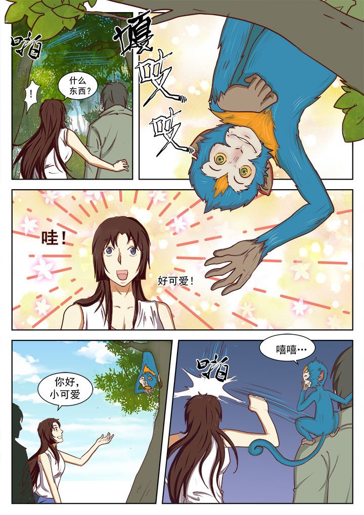 第15章：
