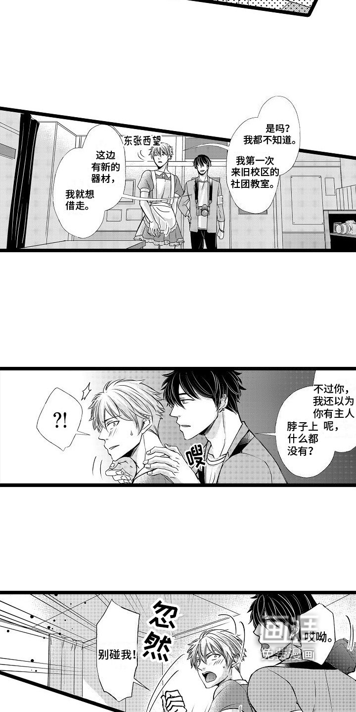 第8章：陷阱