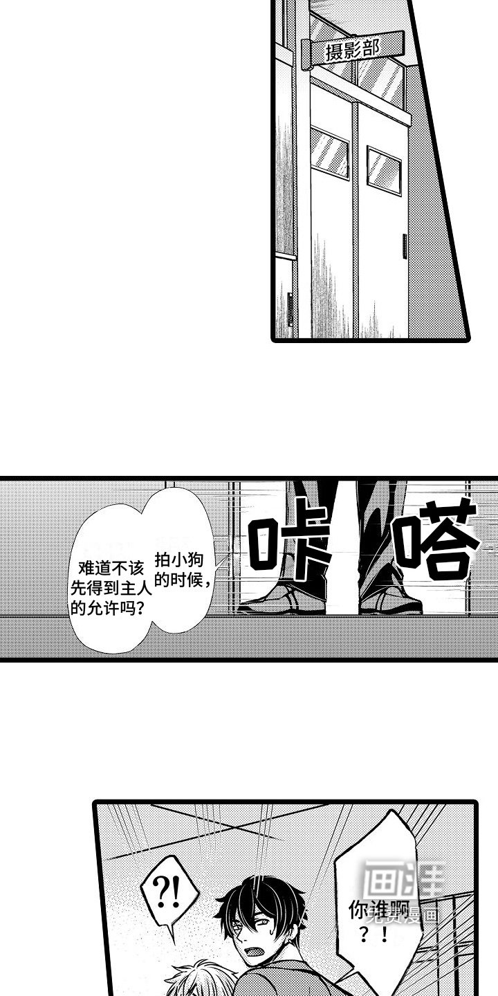 第9章：继续拍