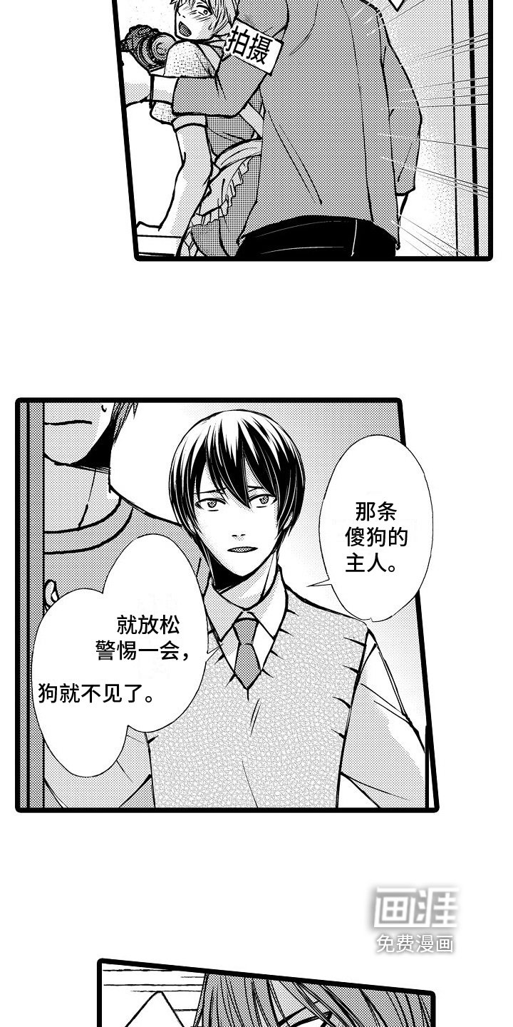 第9章：继续拍