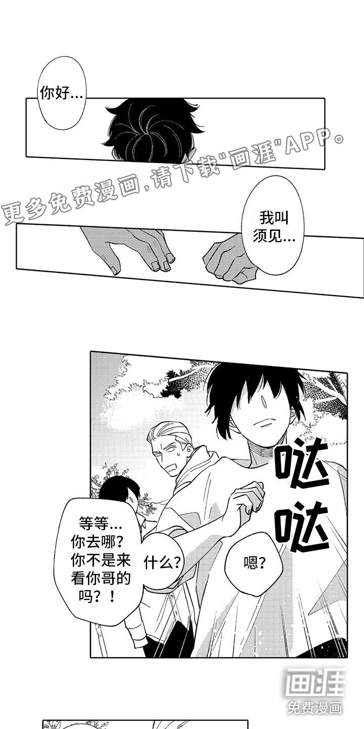 第11章： 孤独背影