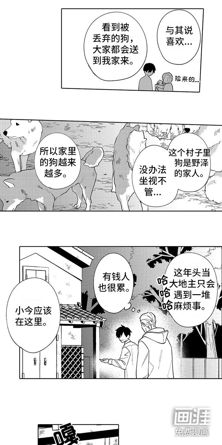 第11章： 孤独背影