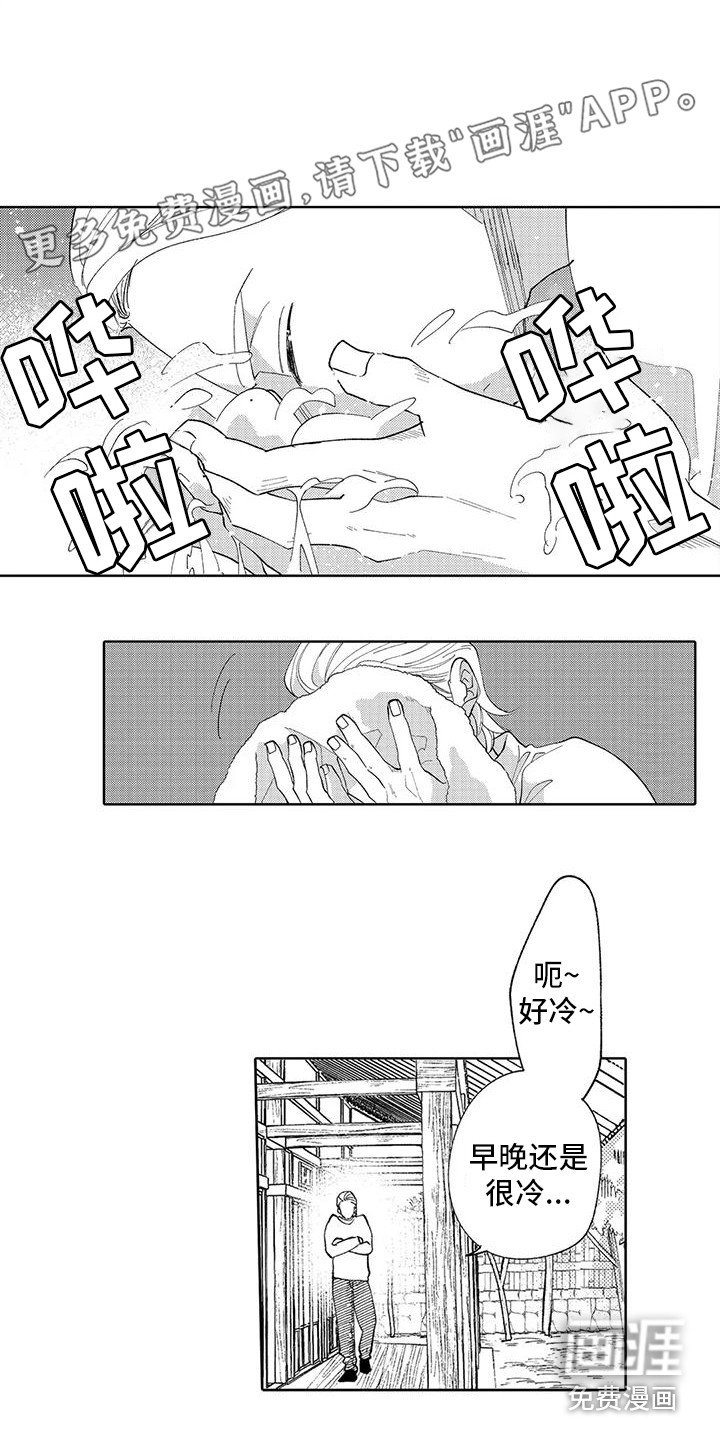 第13章：搞不懂