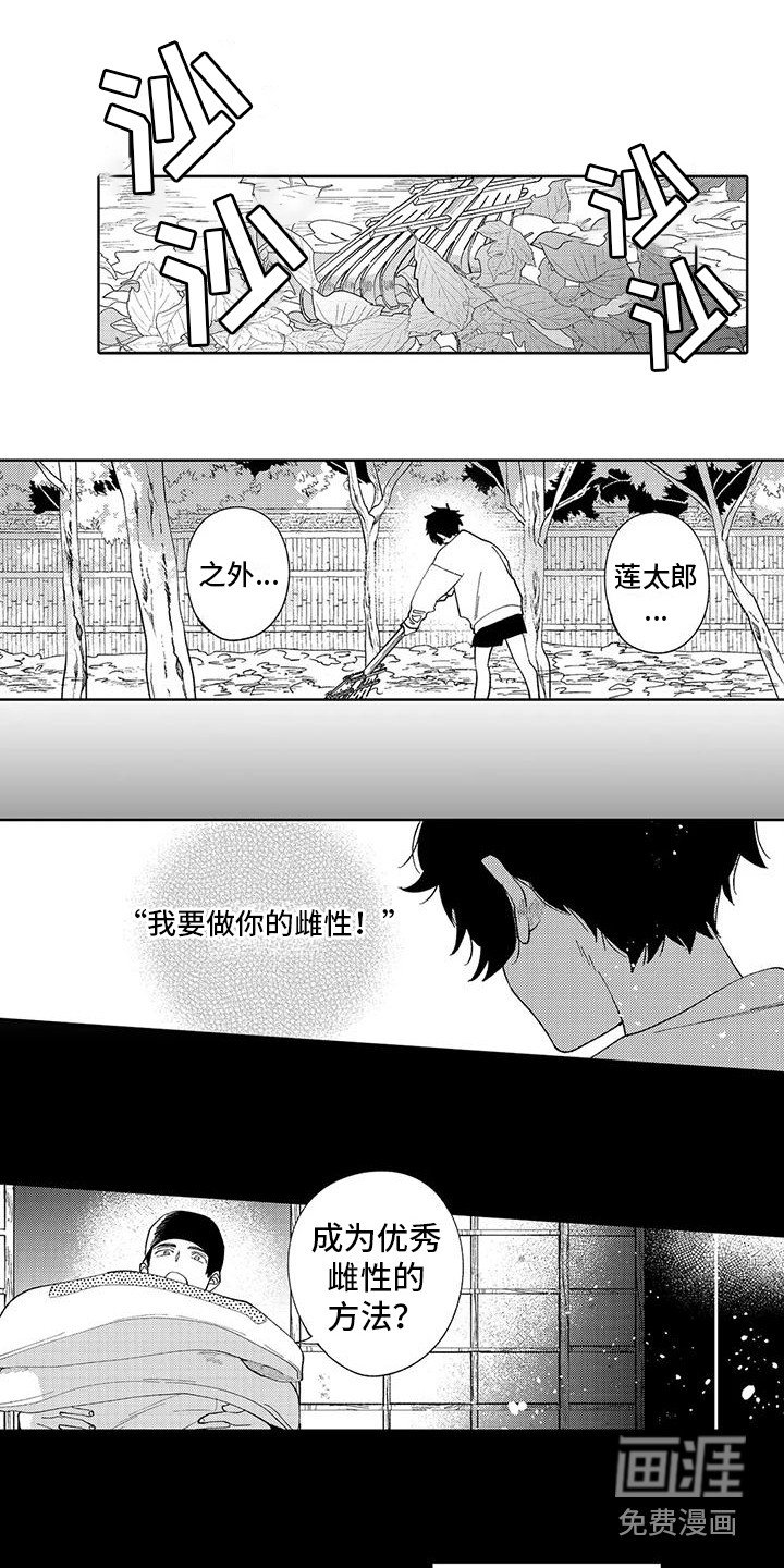 第14章：建议