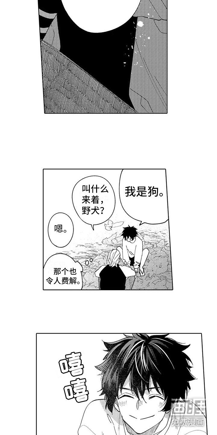 第15章：很可爱