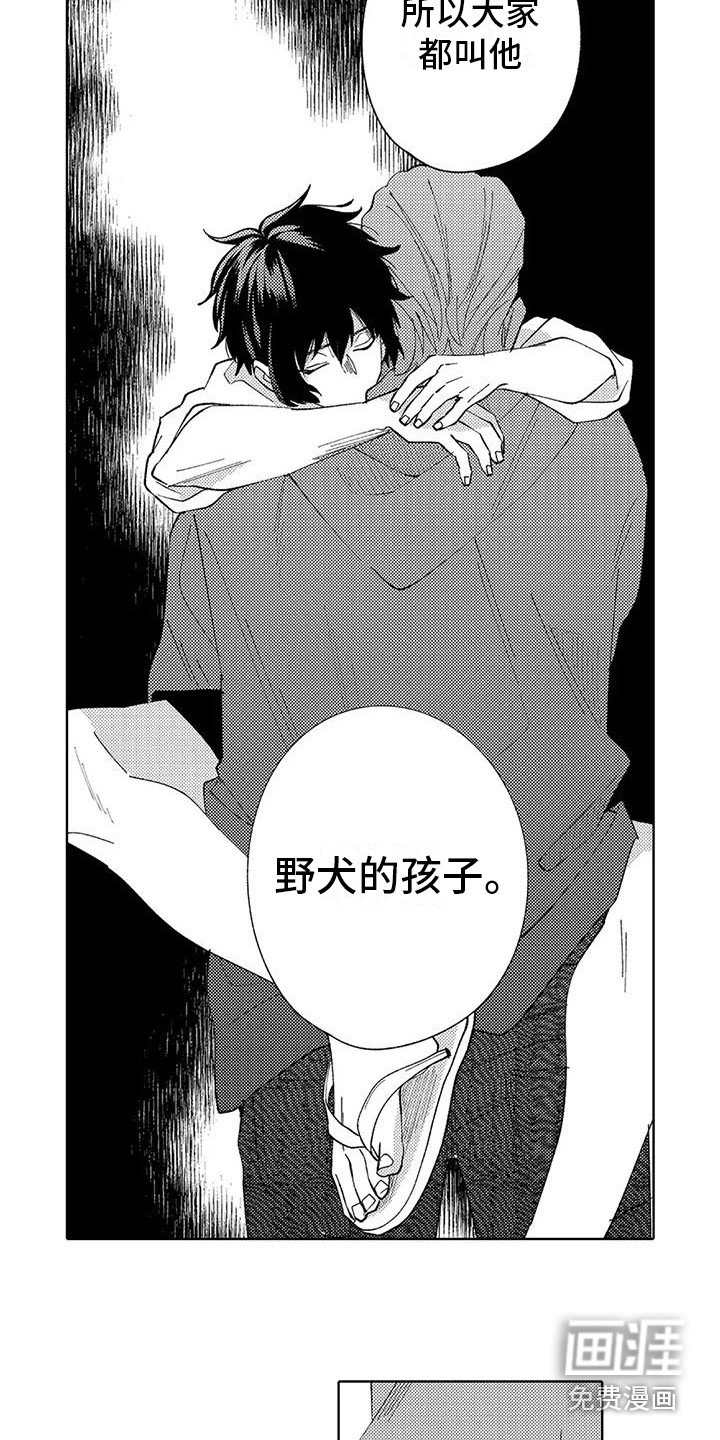 第19章：过往