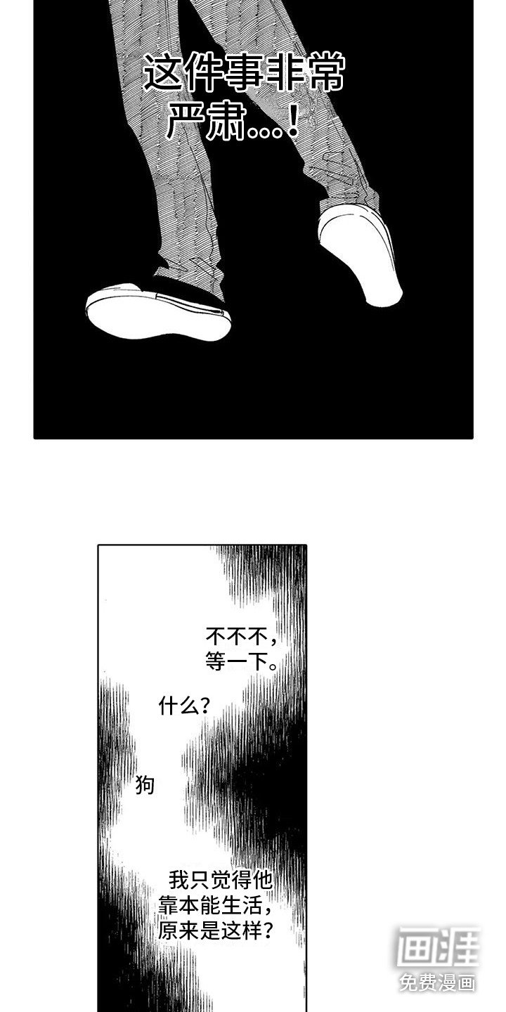 第19章：过往