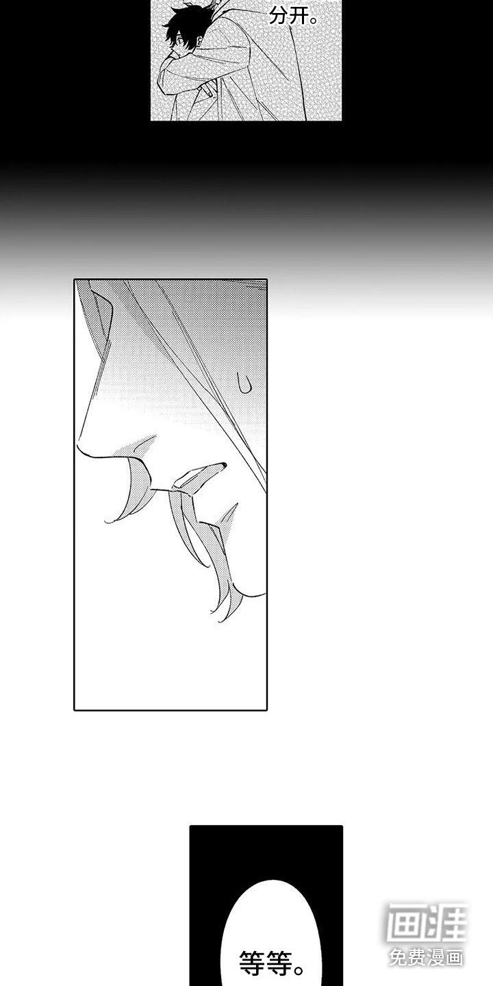 第20章：纠结