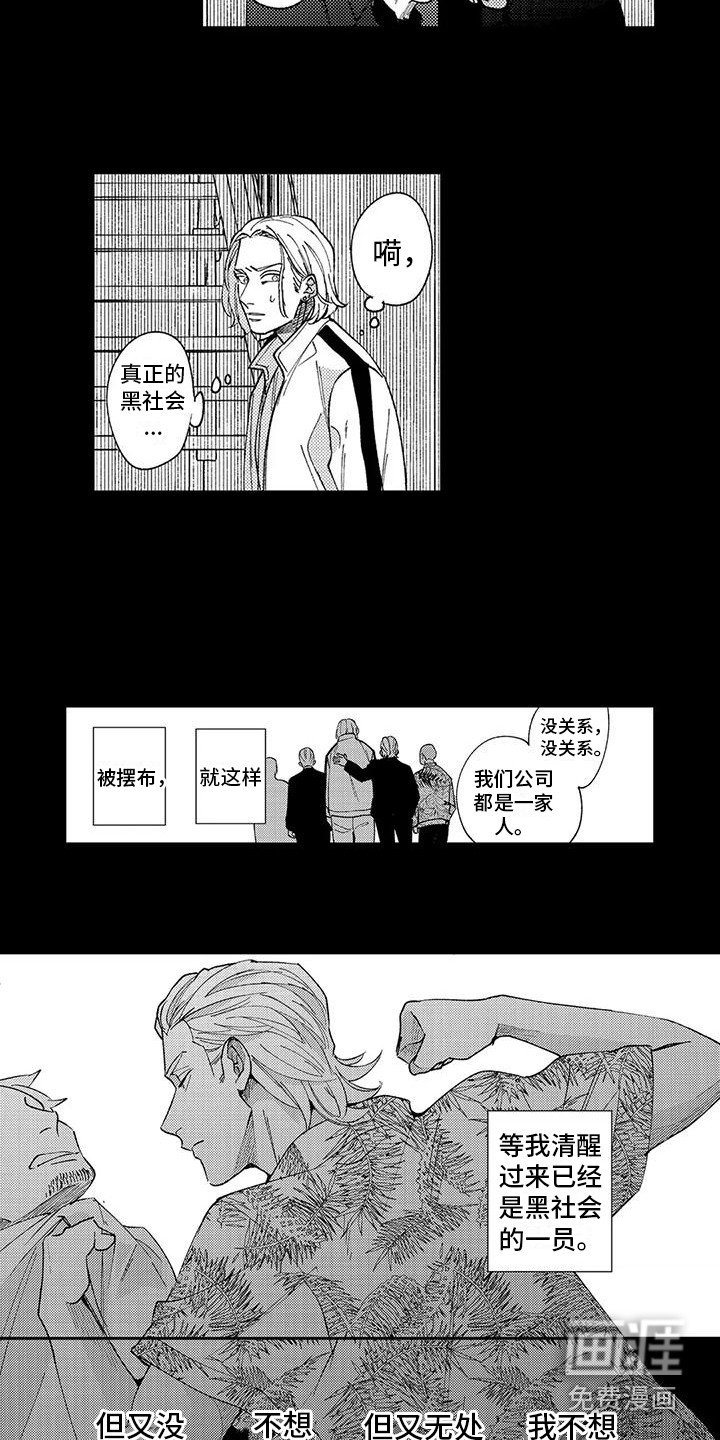 第5章：不太真实
