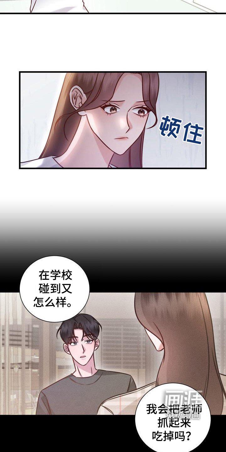 第17章：找猫