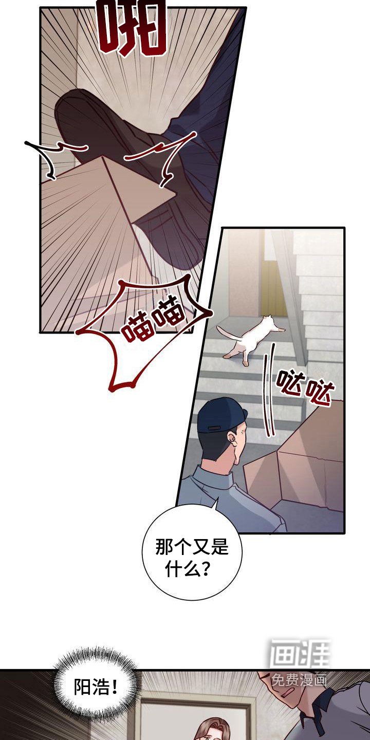 第17章：找猫