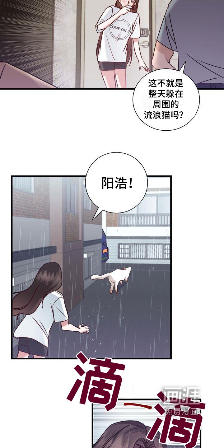 第17章：找猫