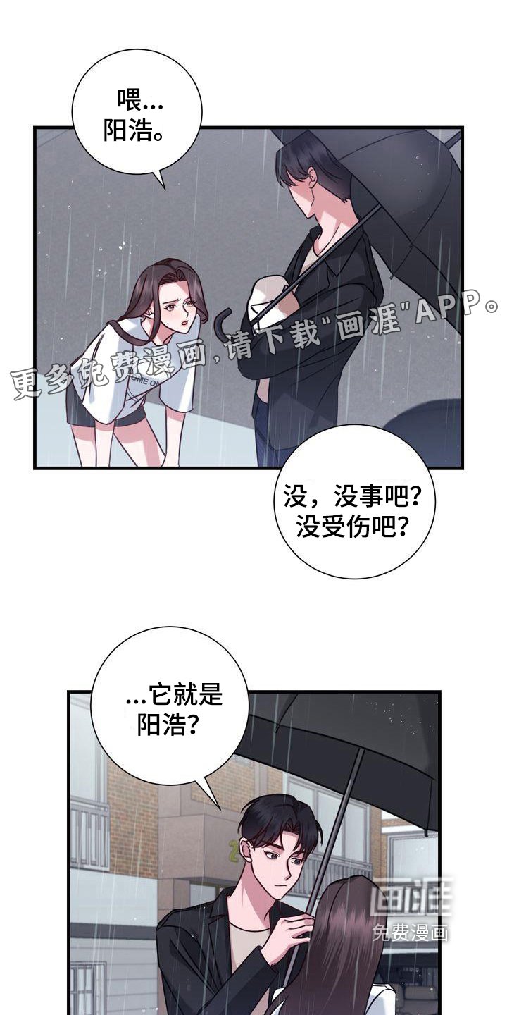 第18章：提议