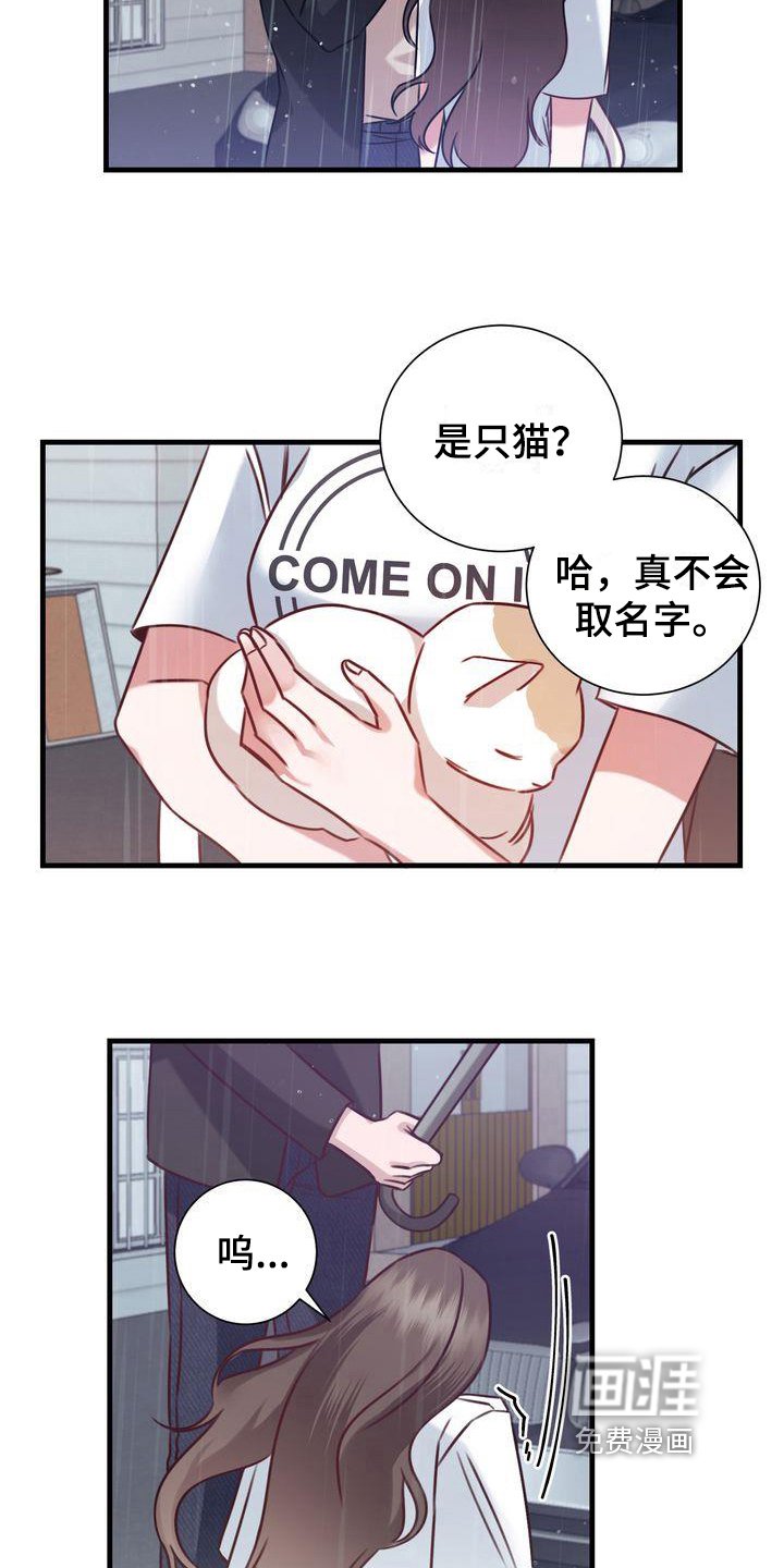 第18章：提议