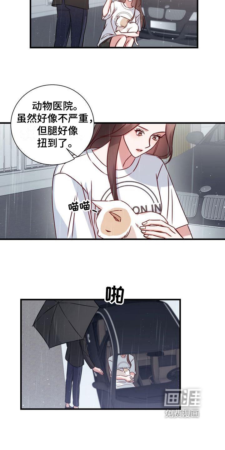 第18章：提议