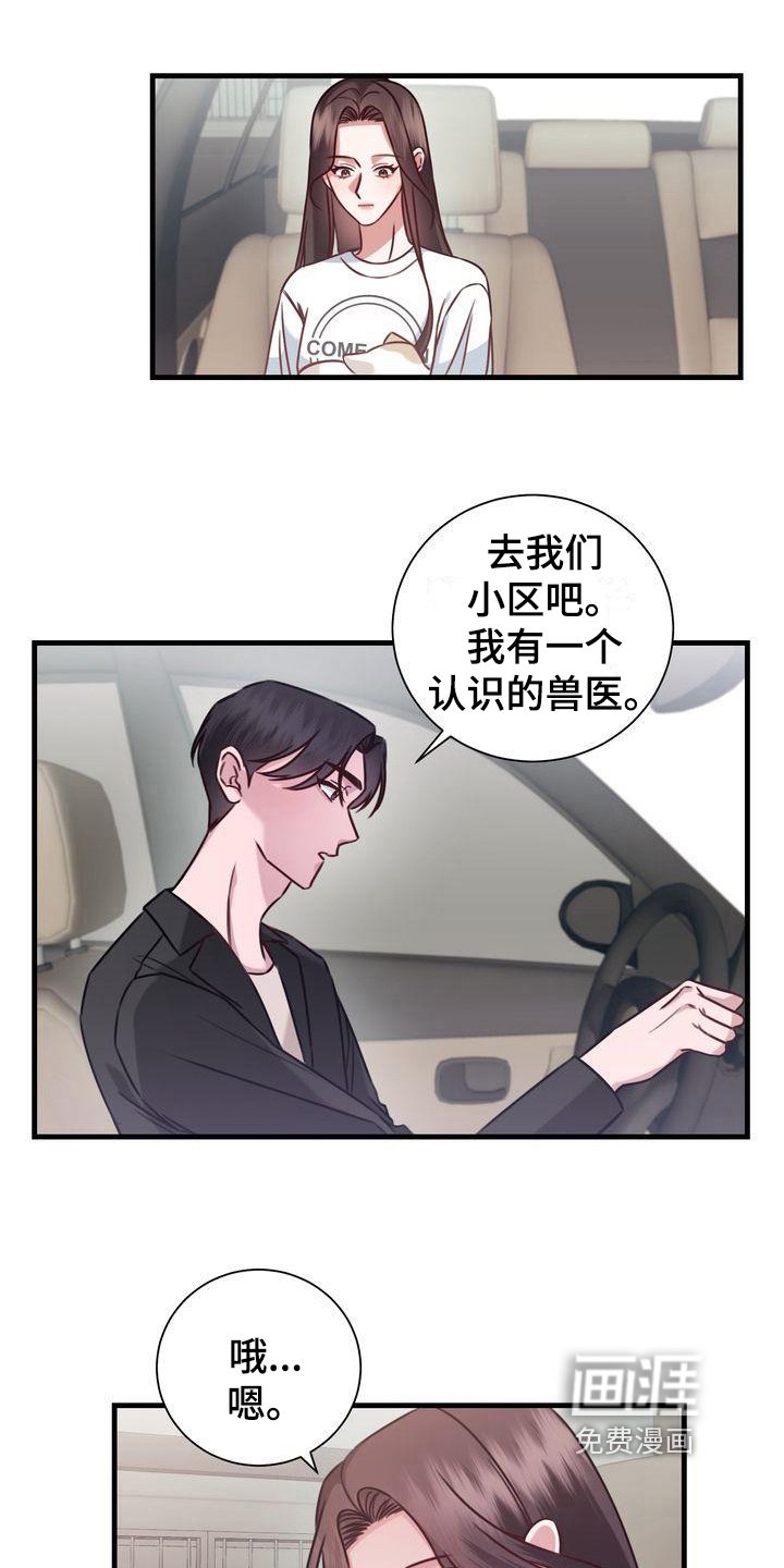 第18章：提议