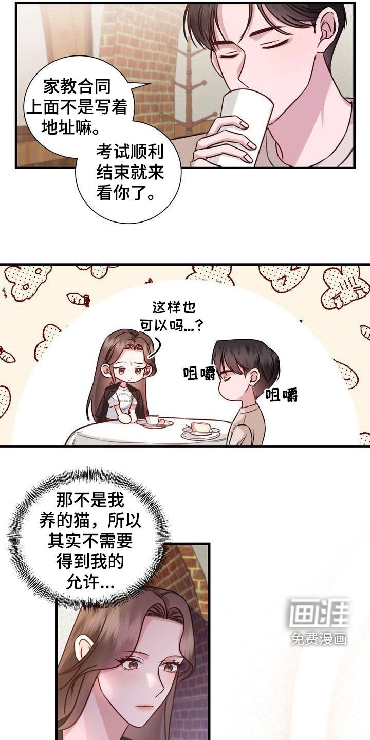 第19章：收留