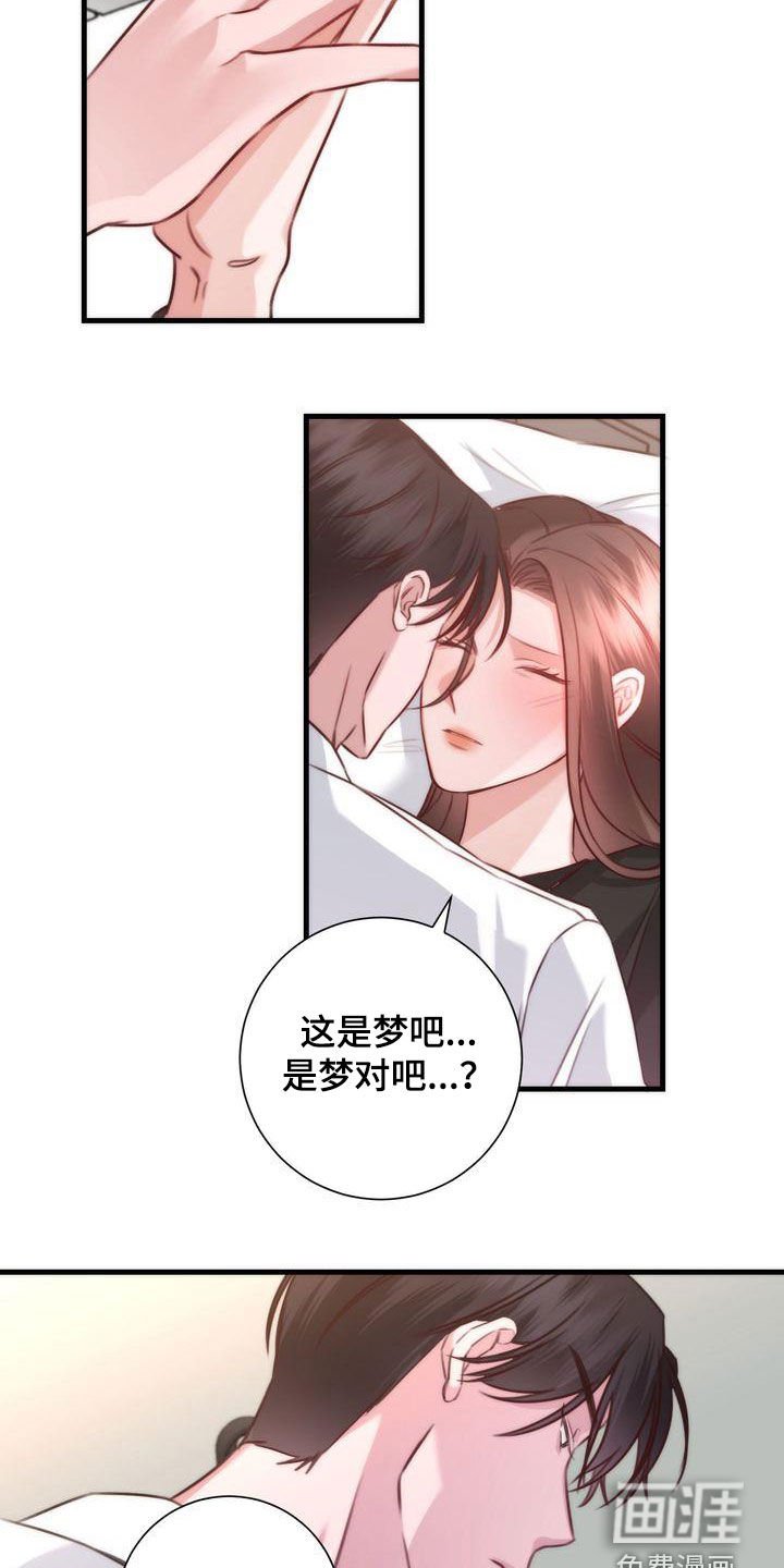 第30章：是梦