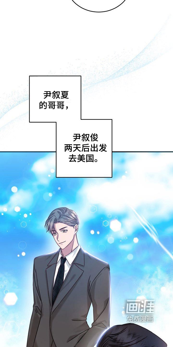 第4章：养猫