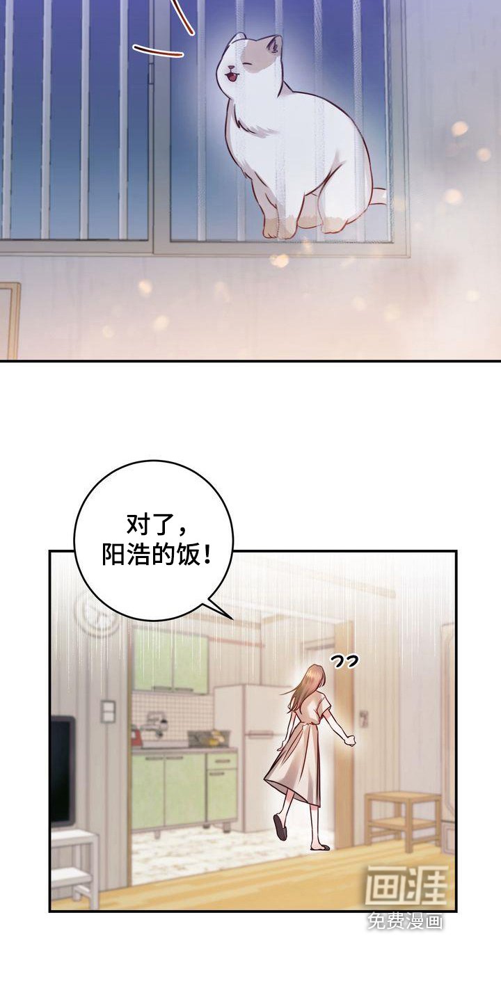 第4章：养猫