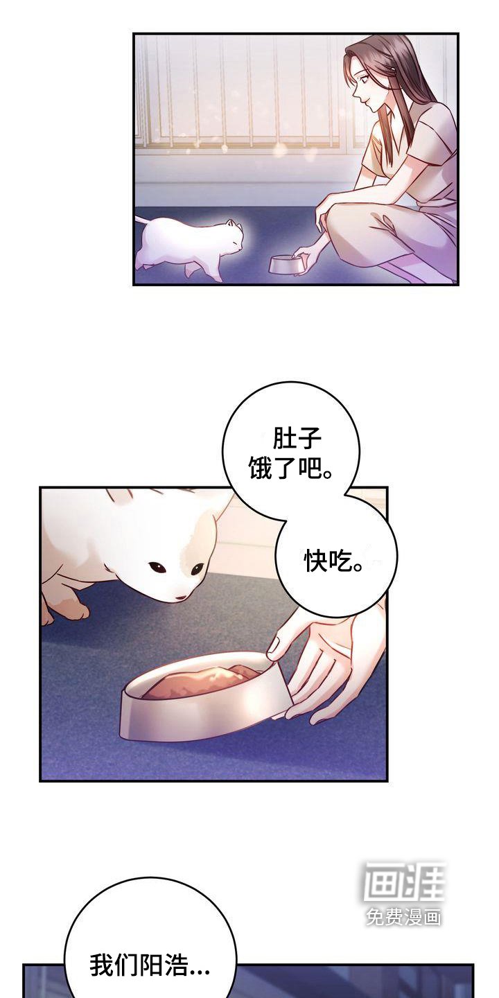 第4章：养猫