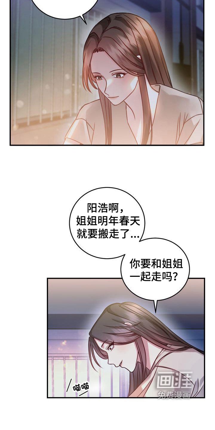 第4章：养猫