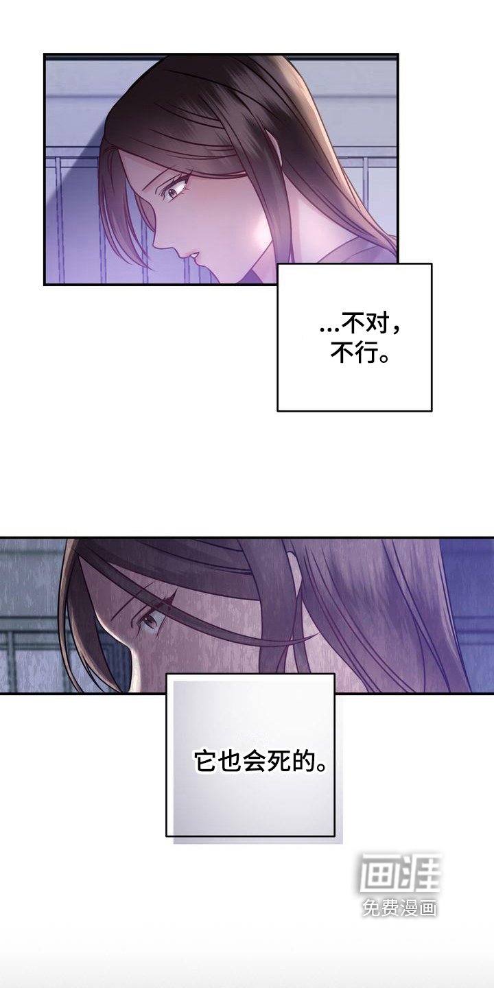 第4章：养猫