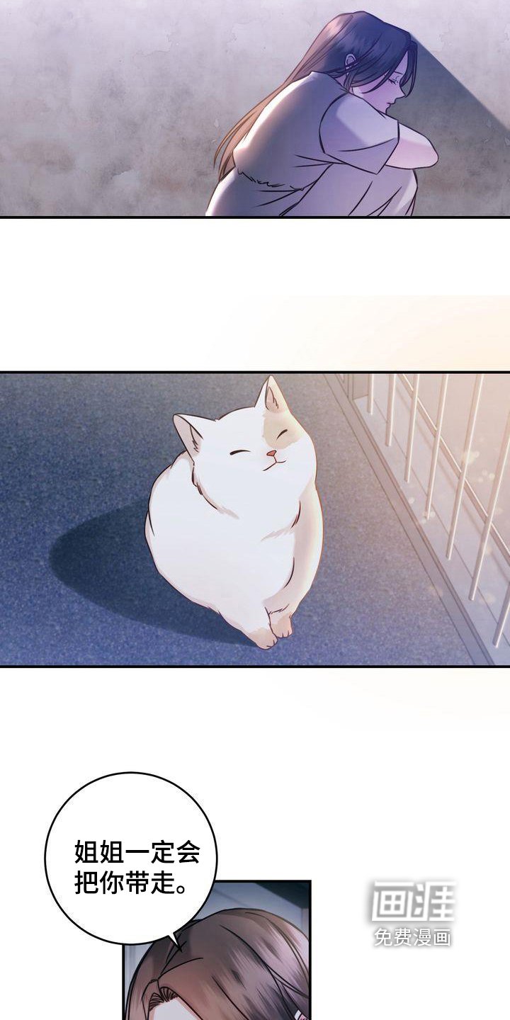 第5章：要求